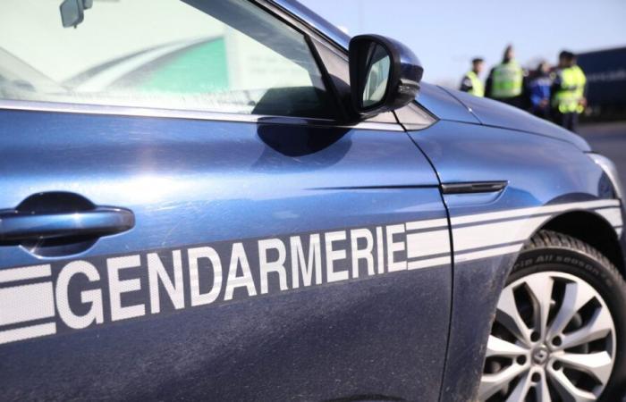 die Ergebnisse der gemeinsamen Operation der Indre-Gendarmerie auf der A20