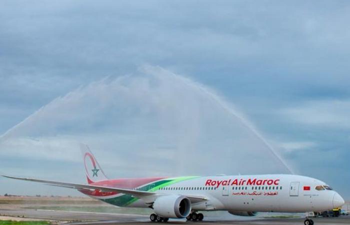 Royal Air Maroc Cargo trifft marokkanische Exporteure