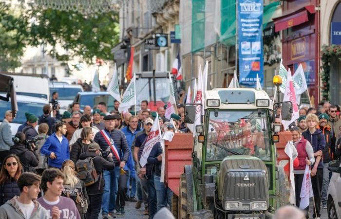 Wut der Bauern: Die FNSEA kündigt eine neue Mobilisierung „überall in Frankreich“ an, hier sind die Termine der nächsten Demonstrationen