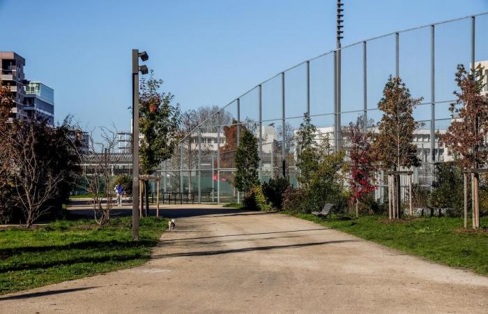 An einem verdichteten rechten Ufer erwacht Belvédère zum Leben