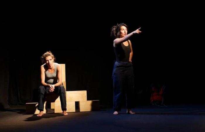 Ein Theaterstück, das Israel und Palästina in La Coquille zusammenbringt