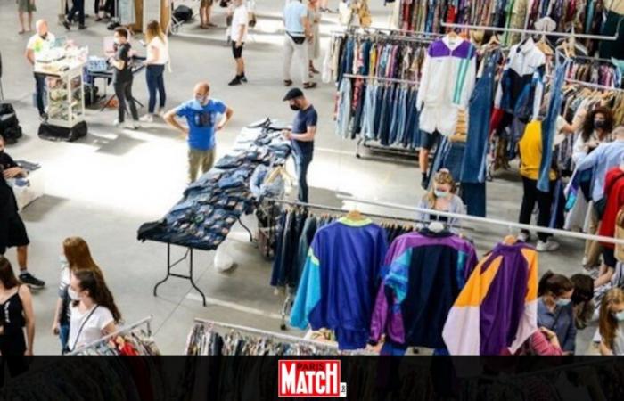 Treffen mit Saint-Nicolas in Namur, dem größten Vintage-Markt Belgiens, Lichtshow… Was machen wir dieses Wochenende?