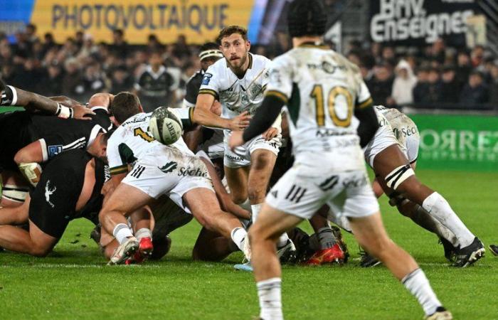 Rugby (Pro D2). Die Montalbanais sind es nicht gewohnt, mit leeren Händen zurückzukehren