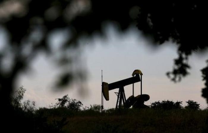 Leichter Rückgang der Ölpreise aufgrund der Unsicherheiten der OPEC+