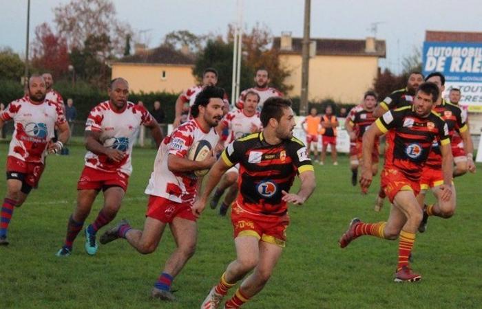 Montech Rugby „Poppies“: Das Spiel ist nicht zu verlieren