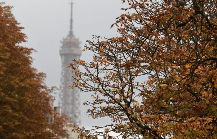 Sonne, kühle Temperaturen im Nordosten, hohe Temperaturen anderswo: das Wochenendwetter in Frankreich