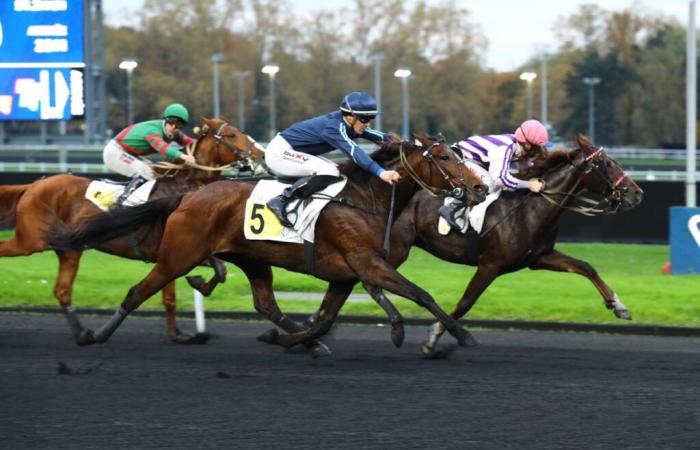 Prix ​​​​Philippe du Rozier (Gr. II): zwölf Starter validiert