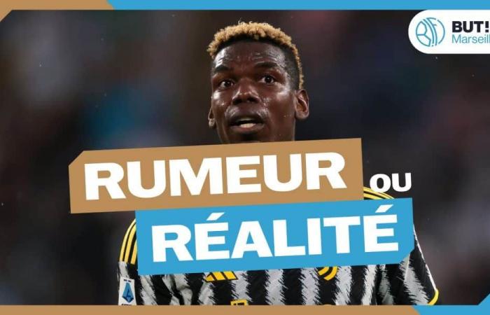 OM Mercato: Paul Pogba, Gerücht oder Realität?