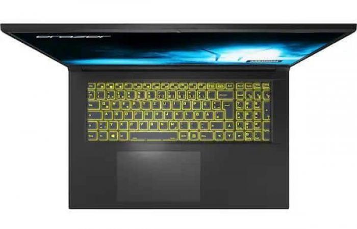 Medion Erazer Scout E30 (MD62597), Gaming-Laptop mit GeForce RTX 4050 für Gaming und 17″ 144Hz-Bildschirm unter Intel Core i5-H – LaptopSpirit