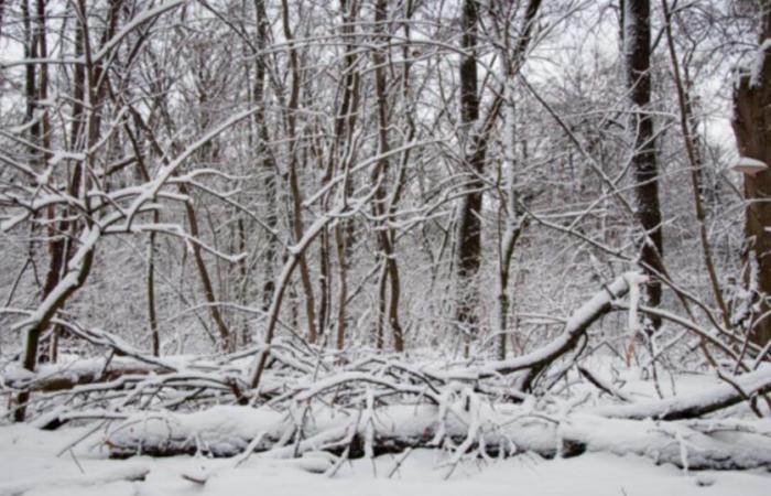 Der meteorologische Winter beginnt am 1. Dezember: Hier sind die Merkmale dieser Jahreszeit in Frankreich