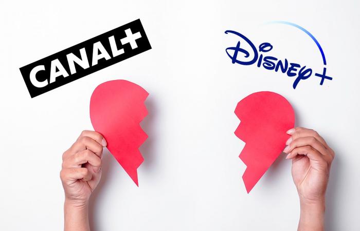 Abonnenten von Canal+ können sich von Disney+ und einer Reihe von Fernsehsendern verabschieden