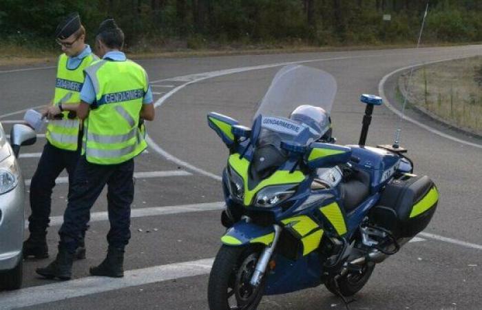 Ein Autofahrer gewinnt vor Gericht eine Passage – Le Petit Journal