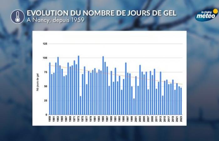 Der meteorologische Winter beginnt am 1. Dezember: Hier sind die Merkmale dieser Jahreszeit in Frankreich