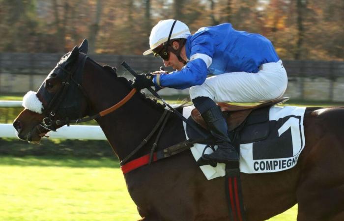 Cœur d’Amour als erstklassiges Hengstfohlen im Prix Général de Saint-Didier