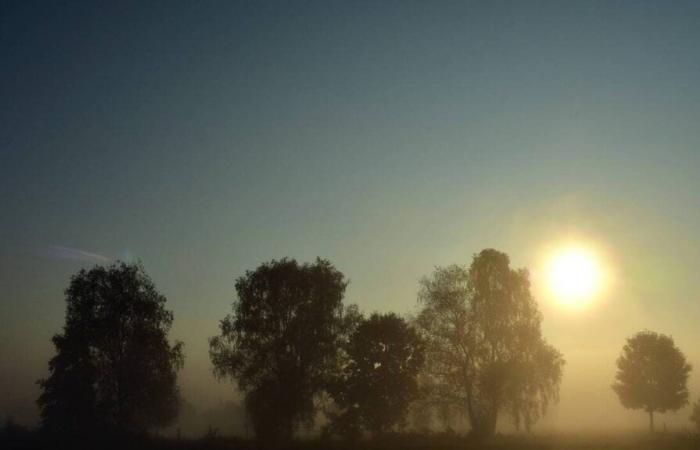 Wie wird das Wetter in Mülhausen und Umgebung am Freitag, den 29. November 2024?