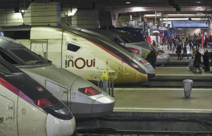 Eine Person kommt ums Leben, nachdem sie in der Nähe von Le Mans von einem TGV angefahren wurde