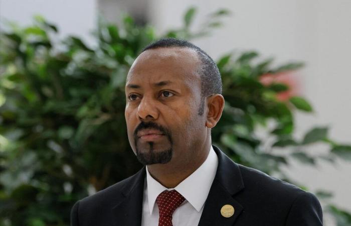 „Vertrauen in Abiy Ahmed ist beschädigt“