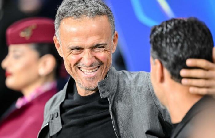 PSG: Luis Enrique macht sein Mea Culpa mit diesem Star?