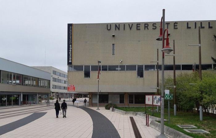 Angesichts der mangelnden Unterstützung durch den Staat organisiert die Universität Lille am Dienstag, dem 3. Dezember, einen „Tag der toten Universität“.