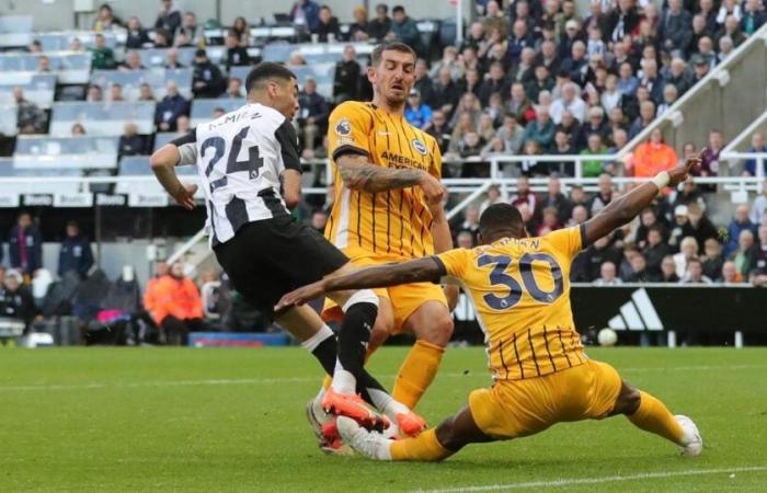 Lewis Dunk drängt auf eine Rückkehr in die Aufstellung von Brighton