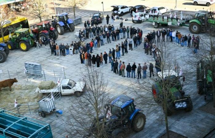 Landwirte: FNSEA erhöht den Einsatz und bevorzugt „Stabilität“ der Regierung – 29.11.2024 um 18:21 Uhr