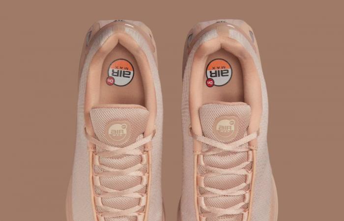 Nike Air Max Dn Bio Beige HQ3837-201