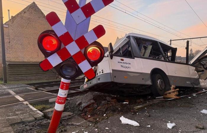 Zug rammt Linienbus, der auf den Gleisen stecken bleibt: „Es waren 20 Kinder an Bord, der Fahrer hat eine Katastrophe vermieden“ (Zedelgem)