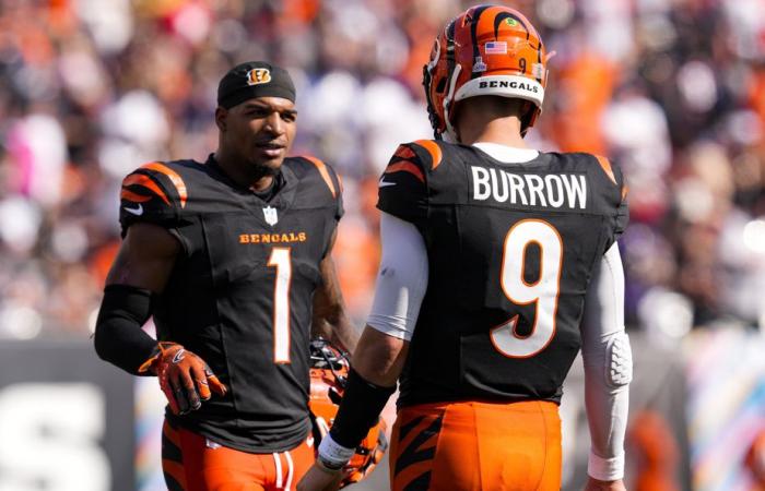 Cincinnati Bengals | Anatomie eines Sturzes