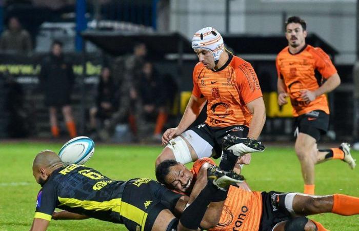 Rugby – Carcassonne-Narbonne-Derby in National: „Wie Thibault Clauzade eine imperiale Verteidigung des RCN“, stellt Narbonne-Manager Julien Seron nach dem Sieg an