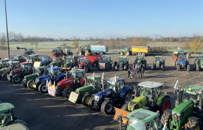 Gegen „immer restriktivere“ Standards mobilisierten die Landwirte in der Mosel erneut