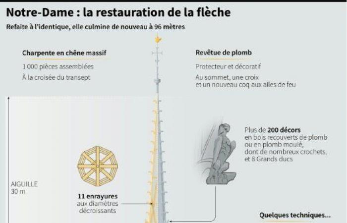 Die wiederentdeckte „Brillanz“ von Notre-Dame wurde der Welt enthüllt: Nachrichten