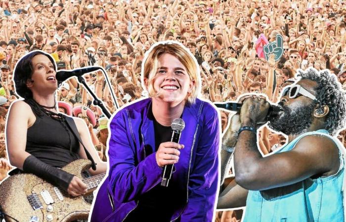 Entdecken Sie die ersten Künstler des Programms Vieilles Charrues 2025