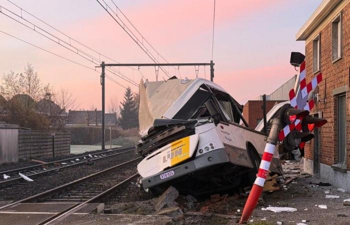 Zug rammt Linienbus, der auf den Gleisen stecken bleibt: „Es waren 20 Kinder an Bord, der Fahrer hat eine Katastrophe vermieden“ (Zedelgem)