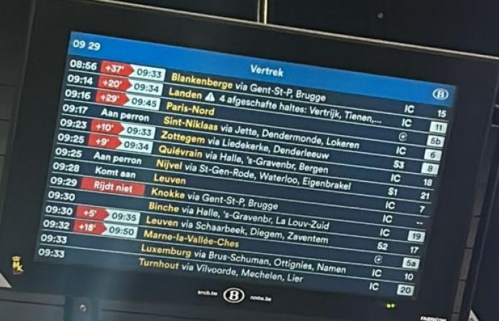 Verspätungen und Ausfälle: Das SNCB-Netz war an diesem Freitagmorgen gestört