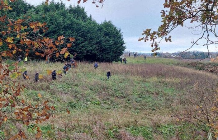 Eine Jagd nach Morgane Rivoal, 13 Jahre alt, diesen Freitag in der Nähe von Guingamp