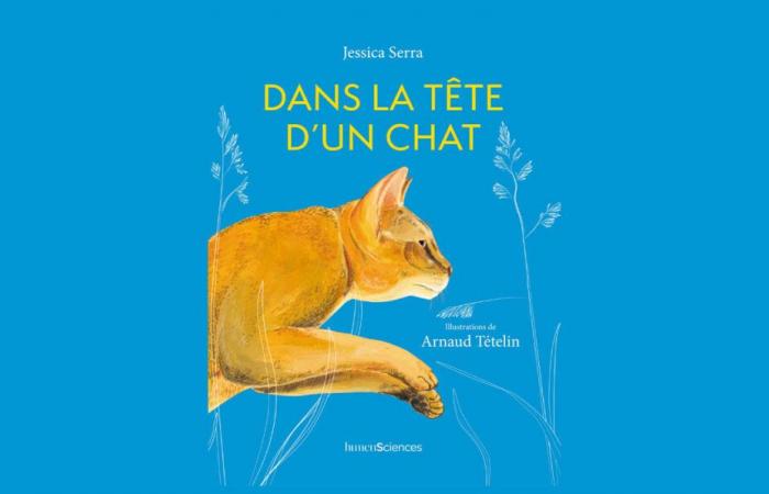 Das erste Buch über die Ethologie der Katzen ⋆ Savoir Animal