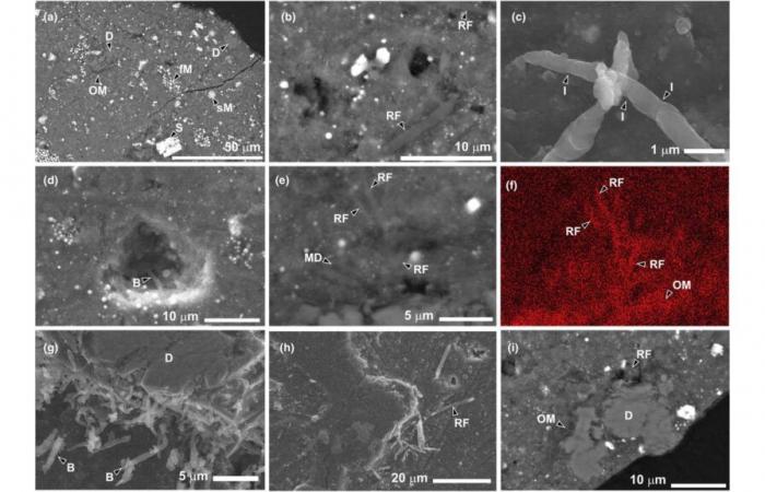 Eine wertvolle Probe des Asteroiden Ryugu ist kontaminiert