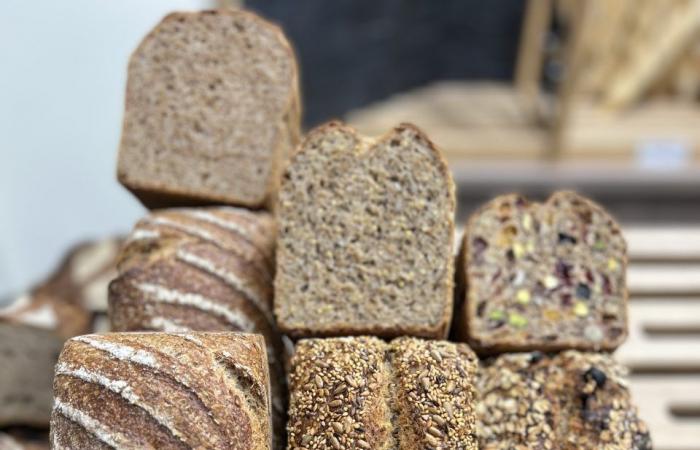 Toaster werden in 25 Bäckereien in der Oise angeboten, wenn Sie eines dieser vier Brote kaufen