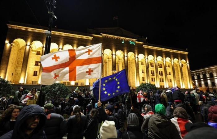 Mehr als 40 Festnahmen während einer Pro-EU-Demonstration