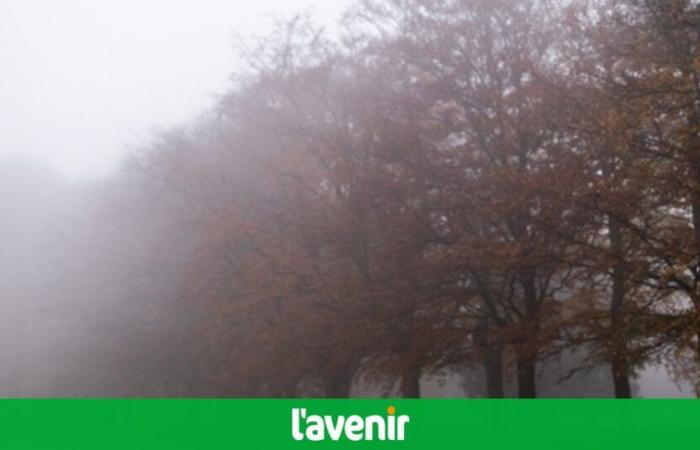 Wetter in Belgien an diesem Freitag: doppelte Alarmbereitschaft im ganzen Land bis 10 Uhr, sonniges Wetter vor einem etwas bewölkten Wochenende