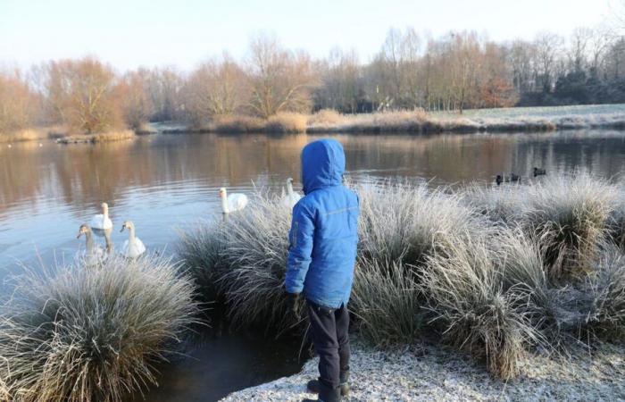 Von -5°C bis fast 25°C: ein Freitag zwischen Morgenfrost im Nordosten und Hitze im Südwesten