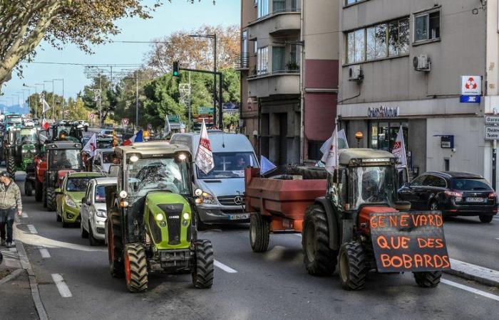 Wut der Landwirte: Traktoren kehren bald auf die Straße zurück, FNSEA ruft zu neuen Mobilisierungen am 9. und 10. Dezember „überall in Frankreich“ auf