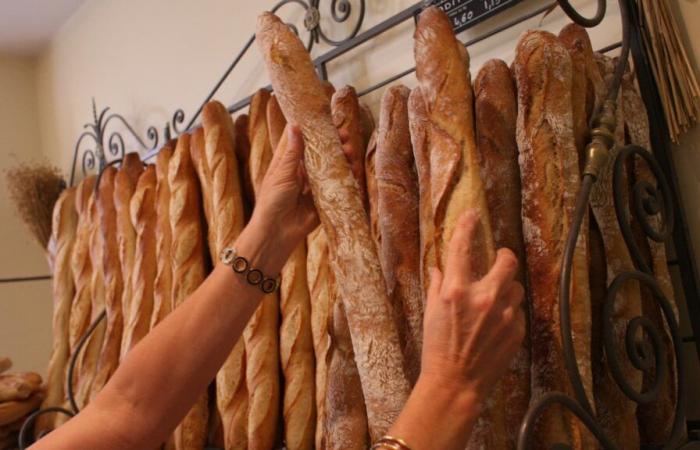 Menge, Qualität, Preis… So wählen Sie das richtige Brot aus