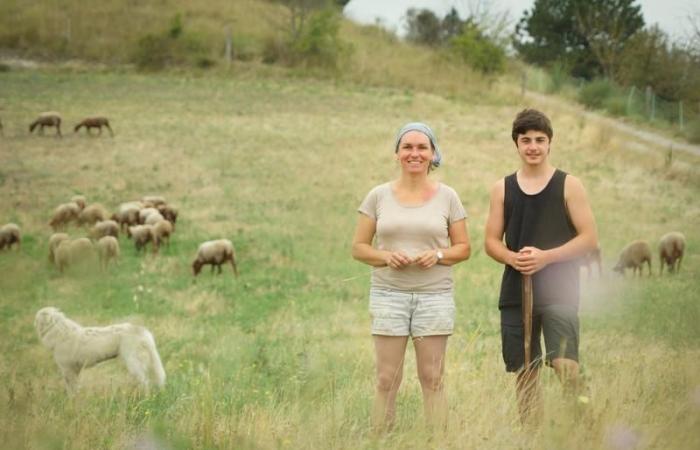 Solenn Guillaume und Yann Vetois, Züchter von 240 Mutterschafen, 600 Legehennen und 2.000 Bio-Hähnchen in Fanjeaux in Piège (Aude) | „Unser Territorium, La Piège, gewinnt rechtliche Schritte gegen den Staat, um als ICHN-Zone anerkannt zu werden.“