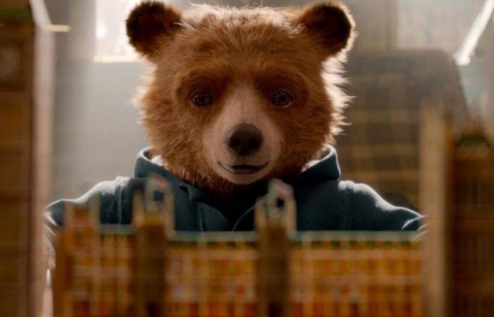 Paddington, der tollpatschige und millionenschwere Bär