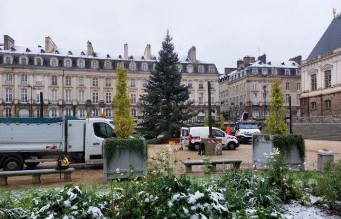 Wie wird das Wetter an Weihnachten und in diesem Winter sein? Die ersten Trends von Météo-France