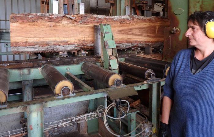 Notre-Dame-de-Paris: Steinmetze, Bildhauer … diese Handwerker aus Okzitanien beteiligten sich an der gigantischen Baustelle der Kathedrale