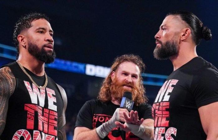 WWE-Fans haben Angst vor dem todesmutigen „blinden“ Sprung des Stars aus einem riesigen Käfig