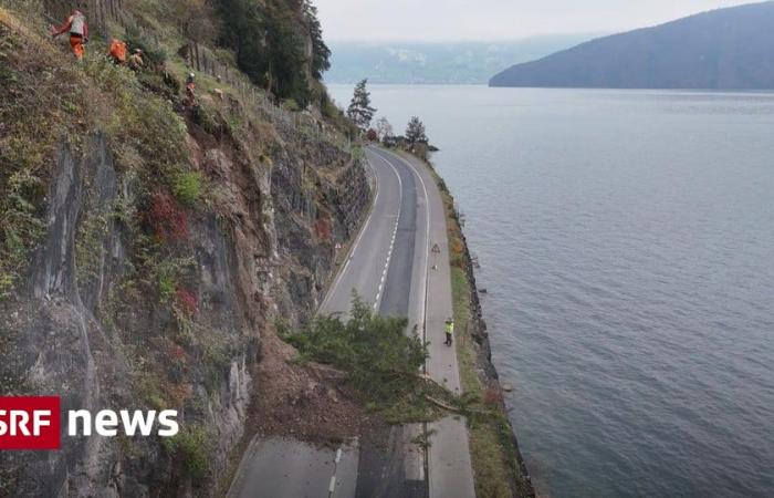 Hauptstrasse gesperrt – Erdrutsch auf Seestrasse bei Weggis LU: Sprengung nötig – News