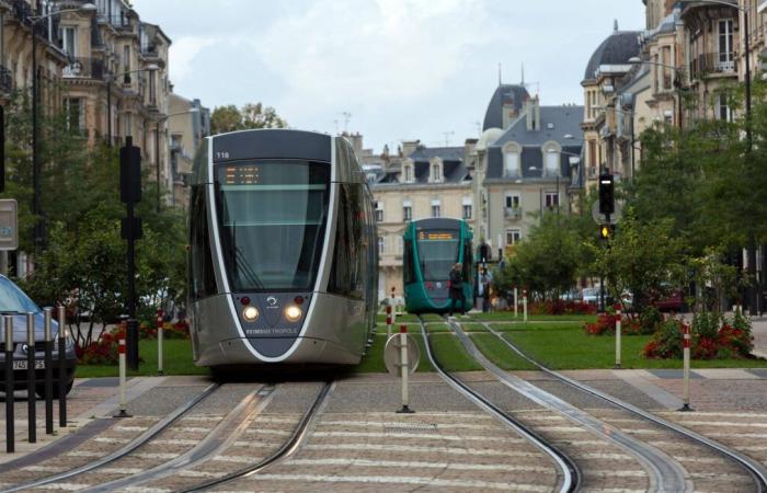 Ein Minderjähriger wird wegen versuchten Mordes nach einem Hammerangriff auf die Straßenbahn angeklagt